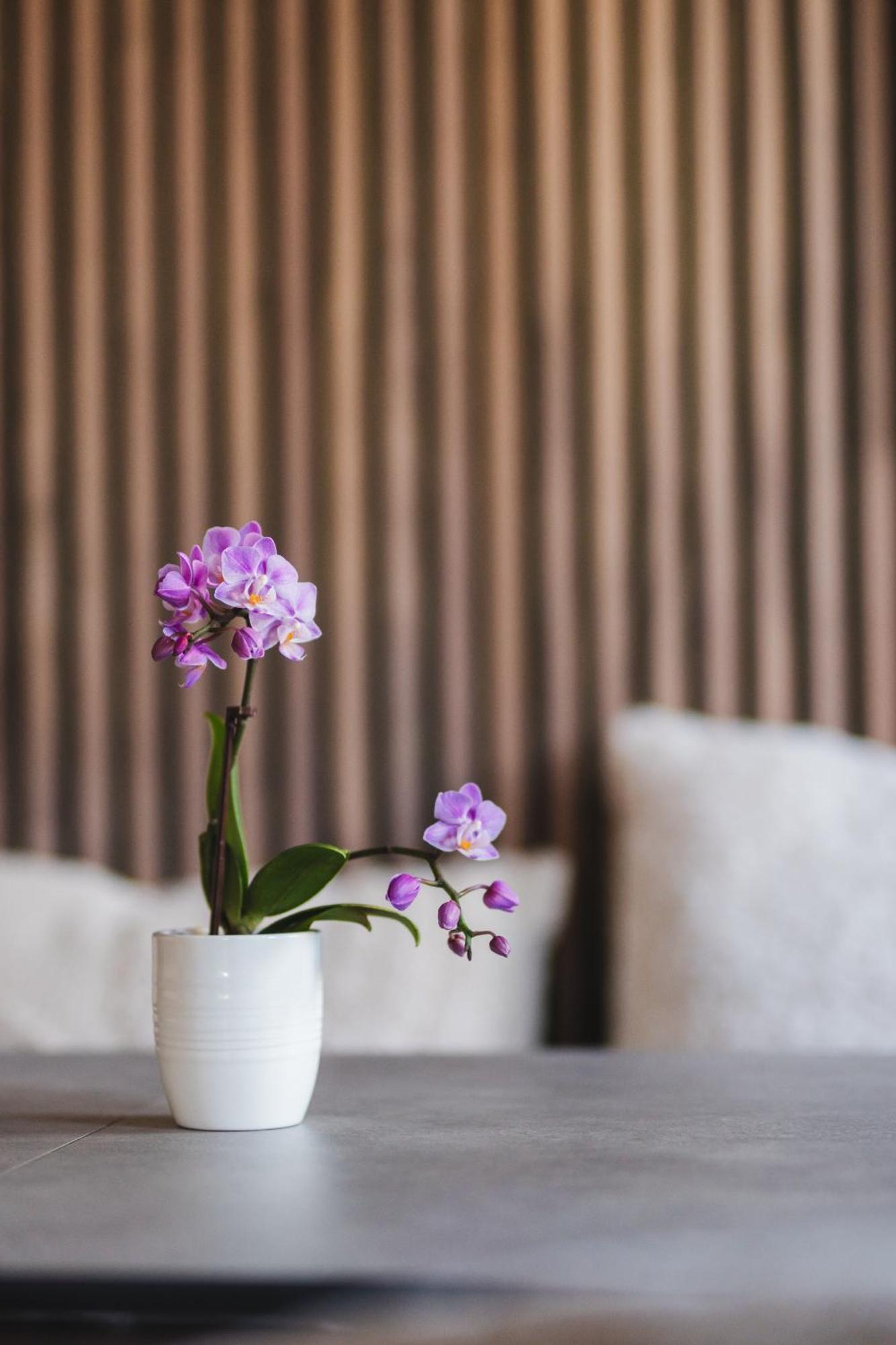Vici Hotels Linkoeping Экстерьер фото